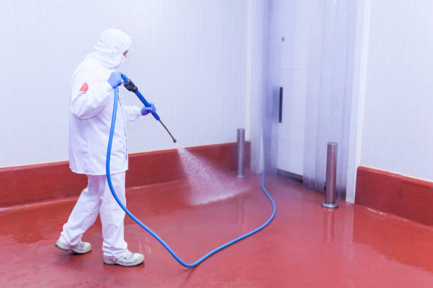 Best Restaurant Pressure Washing  in Rainbow Park, FL