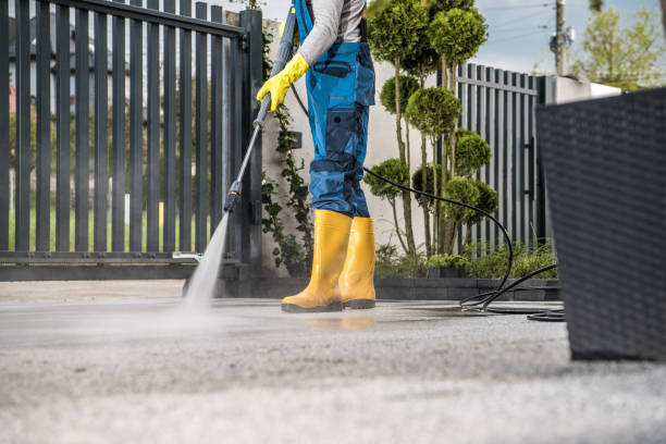 Best House Exterior Washing  in Rainbow Park, FL